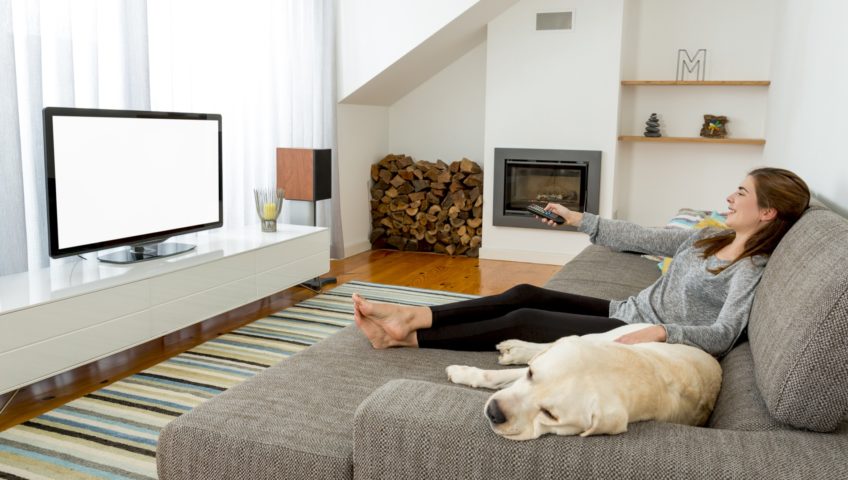 animais de estimação em casa